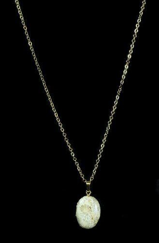 Million Year Old Fossil Coral Necklace #35774
